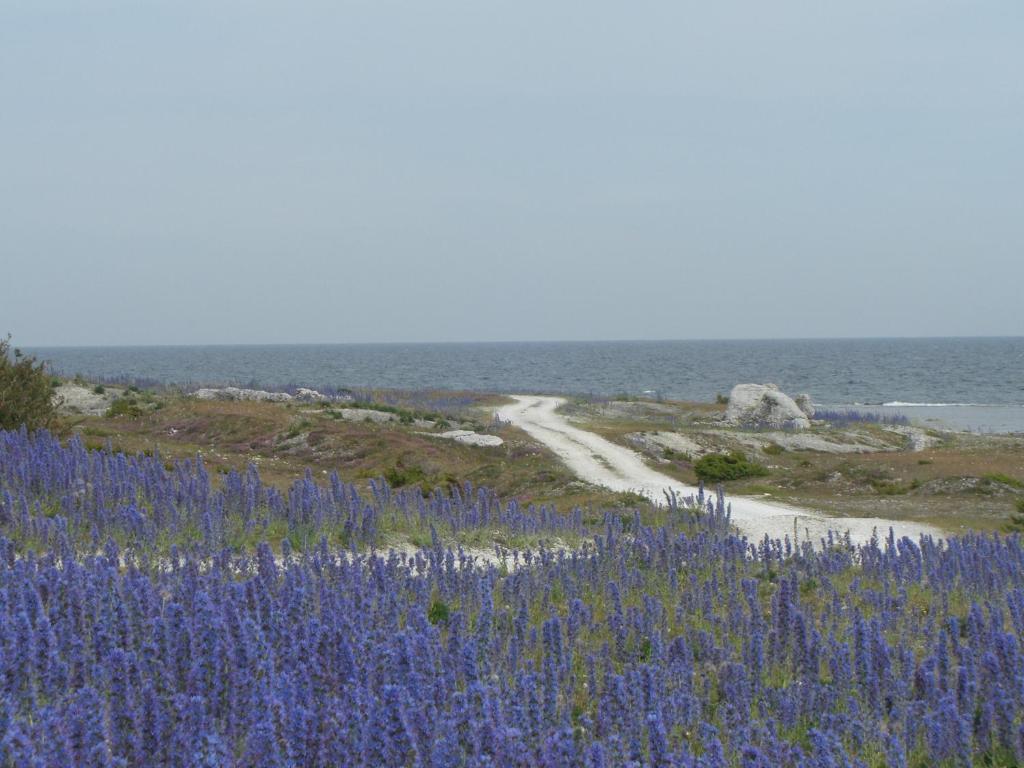Gothem Logi Guest House Eksteriør bilde